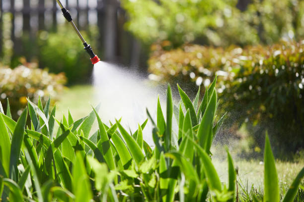 24/7 Emergency Ant Control experts in Chelsea, MI