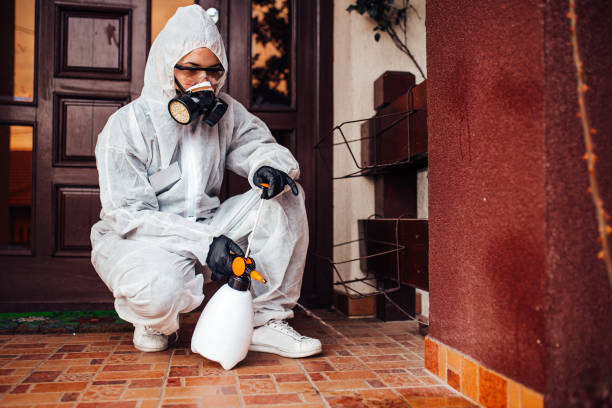 Reliable Ant Control contractor in Chelsea, MI by Nex Pest Control