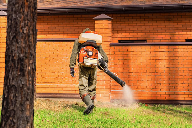 Trusted Ant Control service in Chelsea, MI - Nex Pest Control